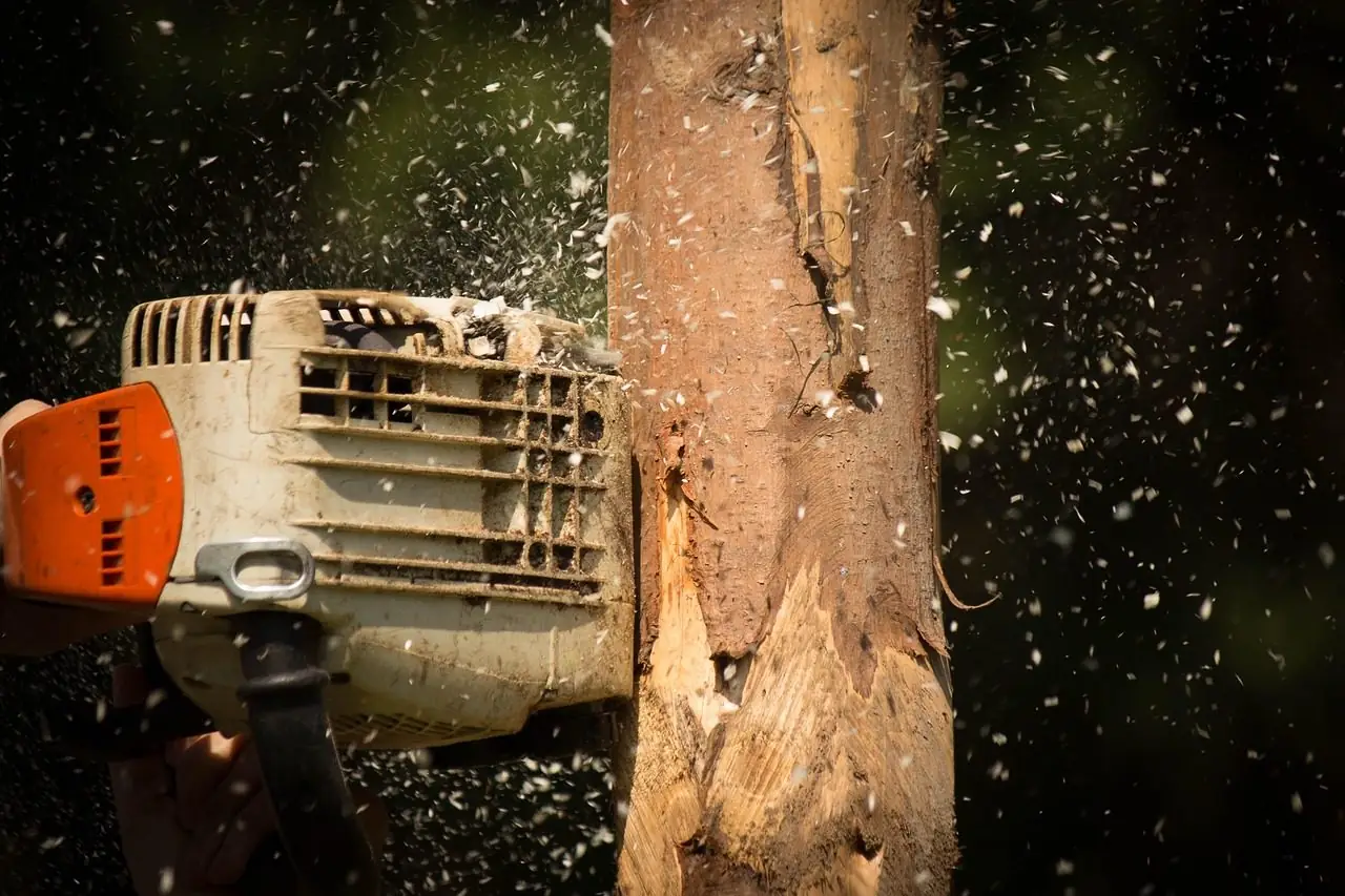 Chainsaw cutting into a pale, bark-stripped trunk